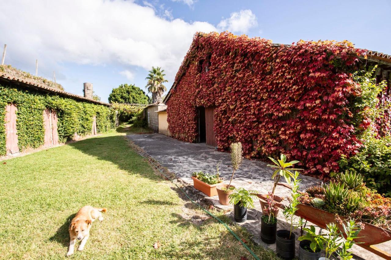 Casa Da Varzea ポンテ・デ・リマ エクステリア 写真